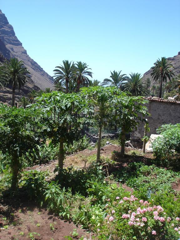 Goyo Gomera Apartments Valle Gran Rey Εξωτερικό φωτογραφία