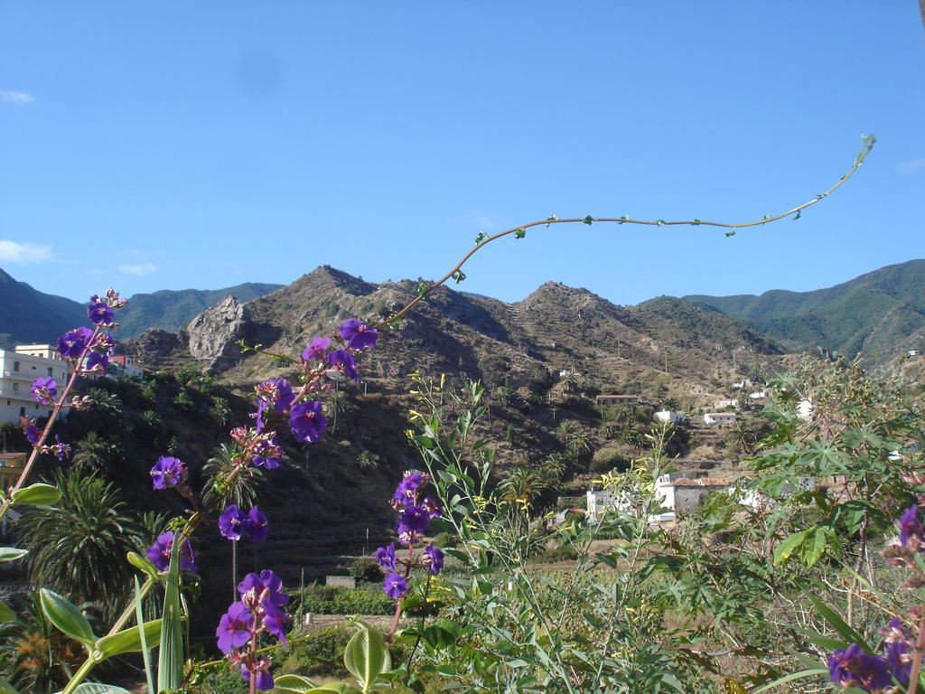 Goyo Gomera Apartments Valle Gran Rey Εξωτερικό φωτογραφία
