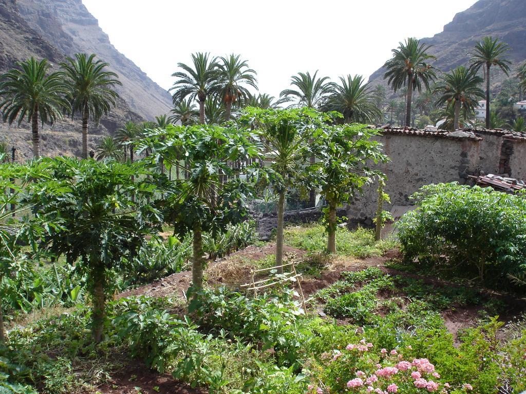 Goyo Gomera Apartments Valle Gran Rey Εξωτερικό φωτογραφία