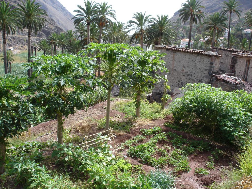 Goyo Gomera Apartments Valle Gran Rey Εξωτερικό φωτογραφία