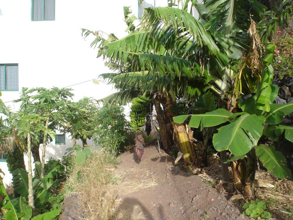 Goyo Gomera Apartments Valle Gran Rey Εξωτερικό φωτογραφία