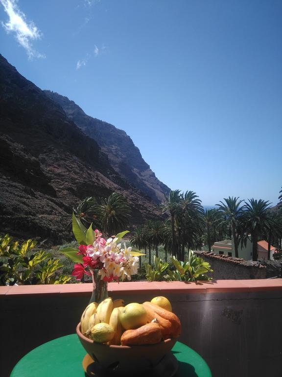 Goyo Gomera Apartments Valle Gran Rey Εξωτερικό φωτογραφία